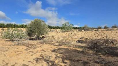 Resale - Finca -
Los Montesinos