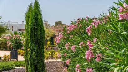 Obra nueva - Adosado -
Orihuela - Vistabella Golf