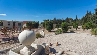 Resale - Finca -
Los Montesinos