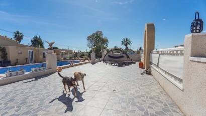 Resale - Finca -
Los Montesinos