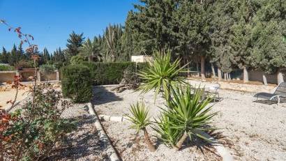 Resale - Finca -
Los Montesinos