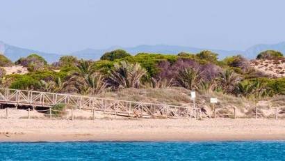 Nyproduktion - Apartment -
Guardamar del Segura - Pueblo