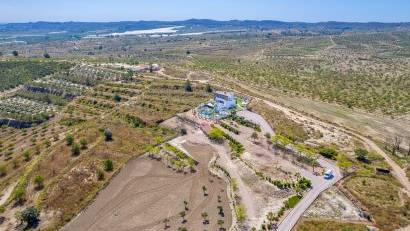 Reventa - Villa -
Torremendo