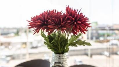 Återförsäljning - Apartment -
Villamartin