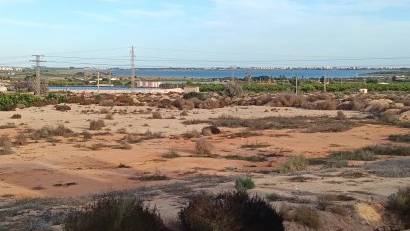 Resale - Detached villa -
Los Montesinos - La Herrada