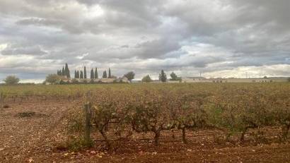 Återförsäljning - wine cellar -
Albacete