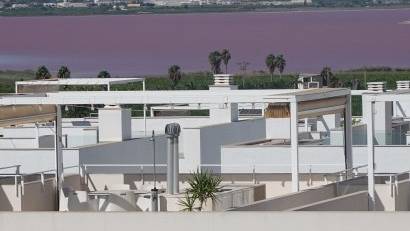 Återförsäljning - Apartment -
Torrevieja - Los Balcones