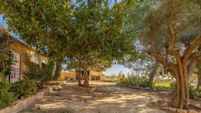 Resale - Villa -
Los Montesinos