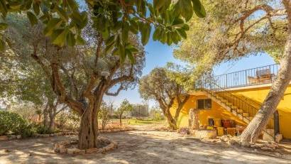 Resale - Villa -
Los Montesinos