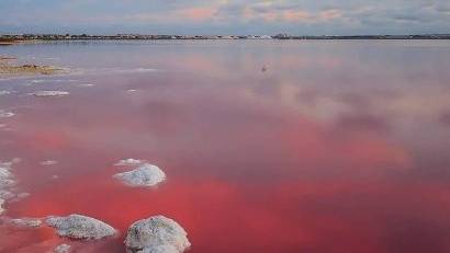 New Build - Bungalow -
Torrevieja - Lago Jardín II