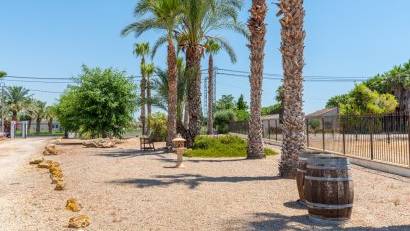 Återförsäljning - Finca -
Catral