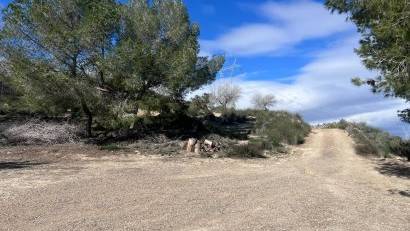 Återförsäljning - Finca -
Torremendo