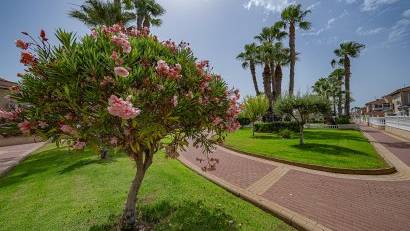 Återförsäljning - Apartment -
Playa Flamenca - Zenia Mar