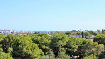 Reventa - Villa -
Playa Flamenca