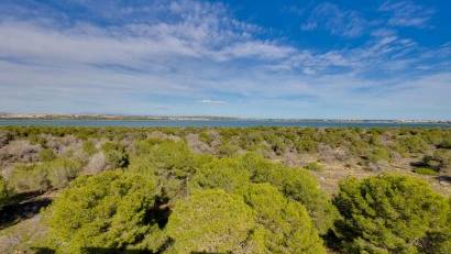 Återförsäljning - Apartment -
Torrevieja - San luis