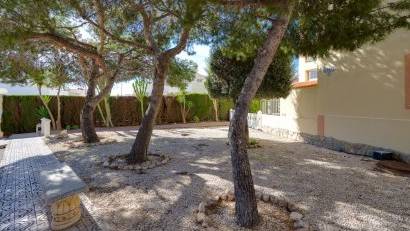 Återförsäljning - Apartment -
Torrevieja - San luis