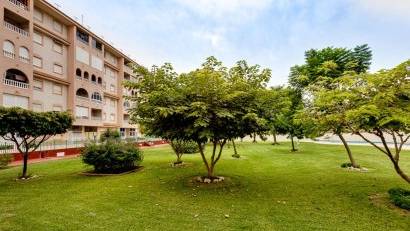 Återförsäljning - Apartment -
Torrevieja - Parque las naciones