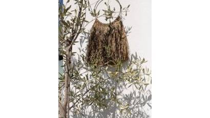 Resale - Detached villa -
Dolores