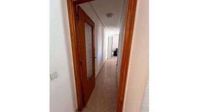 Återförsäljning - Apartment -
Torrevieja - El molino