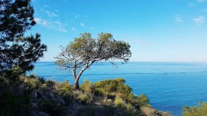 Obra nueva - Apartment -
Villajoyosa - Playa Les Torres