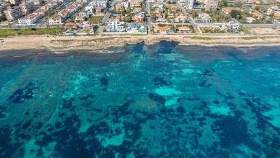 Reventa - Apartment -
Torrevieja - La Veleta