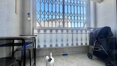 Återförsäljning - Apartment -
Torrevieja - Acequion