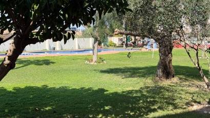 Reventa - Apartment -
Torrevieja - Parque de las Naciones