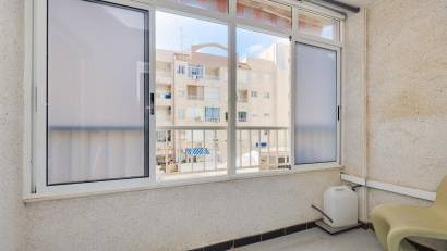 Reventa - Apartment -
Torrevieja - Playa de Los Locos-Curva del Palangre