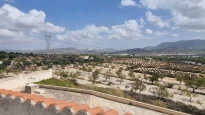 Reventa - Finca -
Hondón de las Nieves