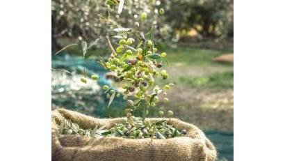 Reventa - Commercial Unit -
Puerto Lumbreras - Nogalte