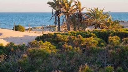 Obra nueva - Apartment -
Guardamar del Segura - Avda del Puerto