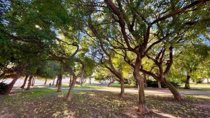 Återförsäljning - Radhus -
Torrevieja - Calas blanca