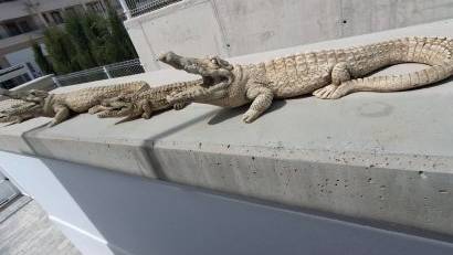 Reventa - Villa -
Orihuela - Entre Naranjos Vistabella Golf