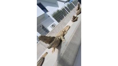 Reventa - Villa -
Orihuela - Entre Naranjos Vistabella Golf