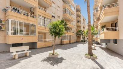 Återförsäljning - Apartment -
Torrevieja - Estacion de autobuses