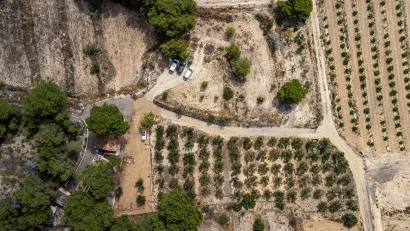 Resale - Detached villa -
LA TERCIA - La Tercia