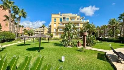 Återförsäljning - Apartment -
Dehesa de campoamor - Campoamor