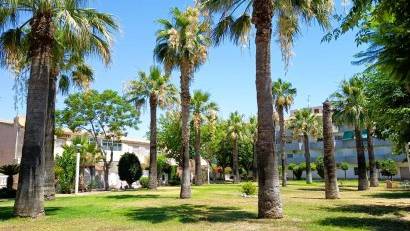 Resale - Bungalow -
Orihuela Costa - La Regia