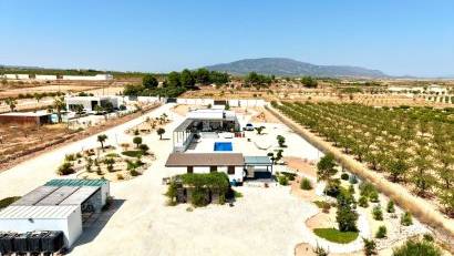 Resale - Detached villa -
Pinoso