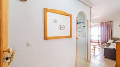 Långtidsuthyrning - Apartment -
Torrevieja - La Mata