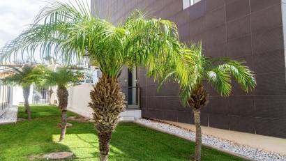Återförsäljning - Apartment -
Villamartin - Villacosta
