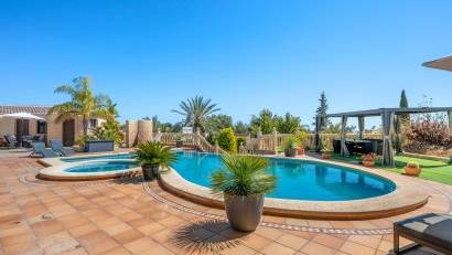 Reventa - Finca -
Crevillente
