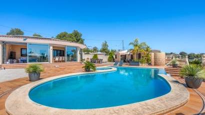 Reventa - Finca -
Crevillente