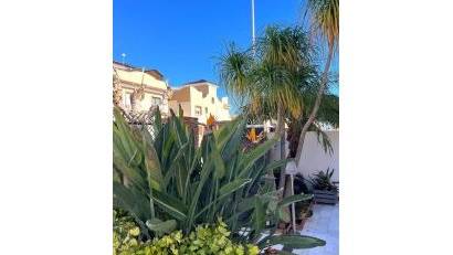 Återförsäljning - Semi detached -
Torre de la Horadada - Costa Blanca