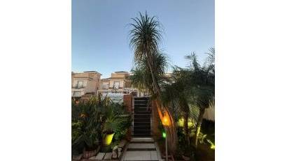 Återförsäljning - Semi detached -
Torre de la Horadada - Costa Blanca