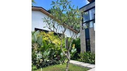 New Build - Detached villa -
Bali - Tabanan