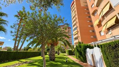 Återförsäljning - Apartment / Duplex -
Orihuela Costa - Campoamor