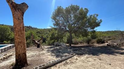 Återförsäljning - Finca -
Torremendo