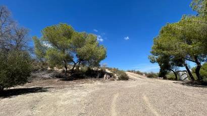 Återförsäljning - Finca -
Torremendo