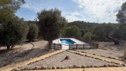 Återförsäljning - Finca -
Torremendo